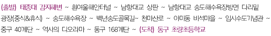 걷기대회 코스.png